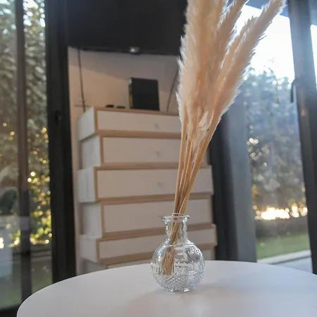 Apartment Xena - With Terrace Aspretto - By Tgb