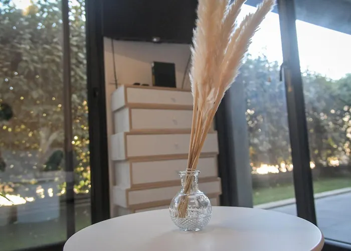 Appartement Xena - With Terrace Aspretto - By Tgb